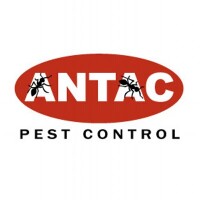 Antac pest control
