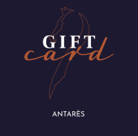 Antares custom saddles/ sellerie de france