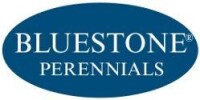 Bluestone perennials