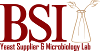 Brewing science institute inc