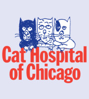 Cat hospital of chicago