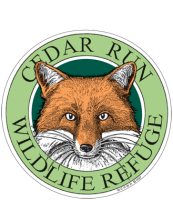 Woodford cedar run wildlife