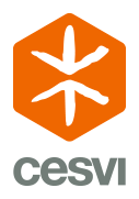 Cesvi fondazione onlus