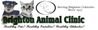 Brighton animal clinic