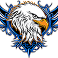 Excelsior charter academy