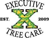 Executivetree