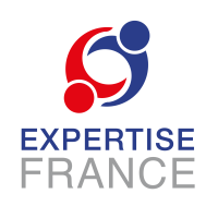 Expertise france