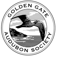 Golden gate audubon society