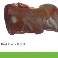 FRESHASIA FOODS LTD