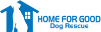 Home for good dog rescue