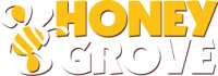 Honey grove elementary school