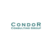 Condor consulting services