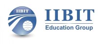 Infotech professionals