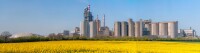 Irish Cement Ltd