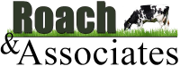 Roach & associates llc