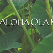 Ku aloha ola mau