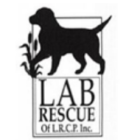 Lab rescue lrcp