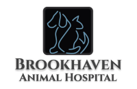 Lakeway animal hospital