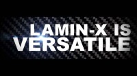 Lamin-x