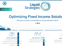 Liquid strategies, llc