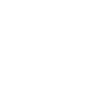 Old dominion investment corp