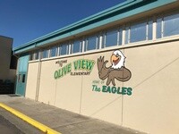 Olive view school