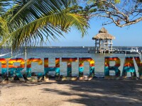 Orchid bay, belize