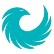 Phoenix energy group