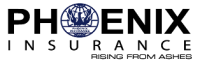 Phoenix insurance company ltd