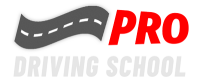 Pro driving school