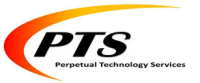 Perpetual technology solutions