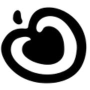 North Greenville fitness