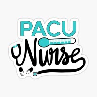 Self directed pacu nurse
