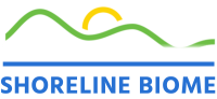 Shoreline biome