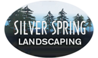 Silver spring lanscaping