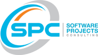 Software projects consulting