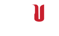 Syrian private university (spu)
