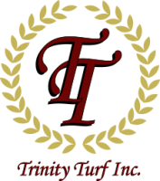 Trinity turf