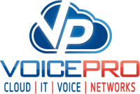 Voicepro®