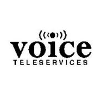 Voice teleservices