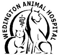 Wedington animal hospital