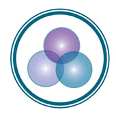 Whole body research, llc.