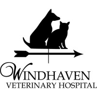 Windhaven veterinary hospital