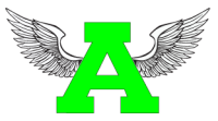 Acceleration sports performance - naperville