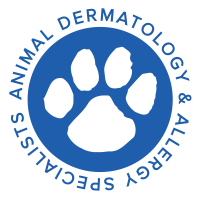 Animal dermatology & allergy