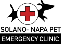 All pet emergency clinic