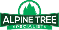 Alpine tree service