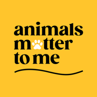 Animals matter to me