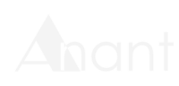 Anant enterprises llc