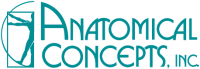 Anatomical concepts inc.